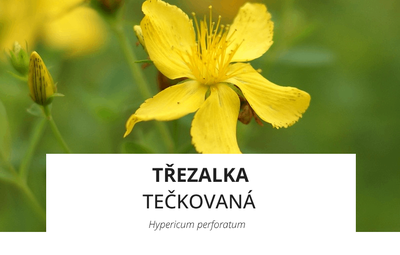 ingredience-trezalka-teckovana.png