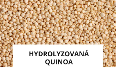 ingrediente-quinoa.png
