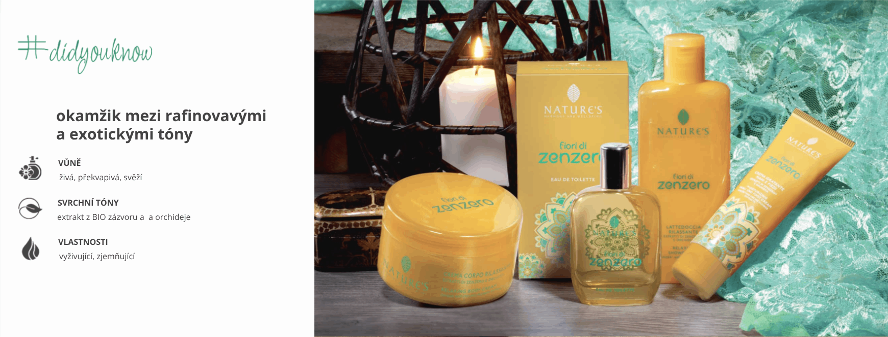 zenzero-vlastnosti-bg.png zenzero-vlastnosti-bg.png